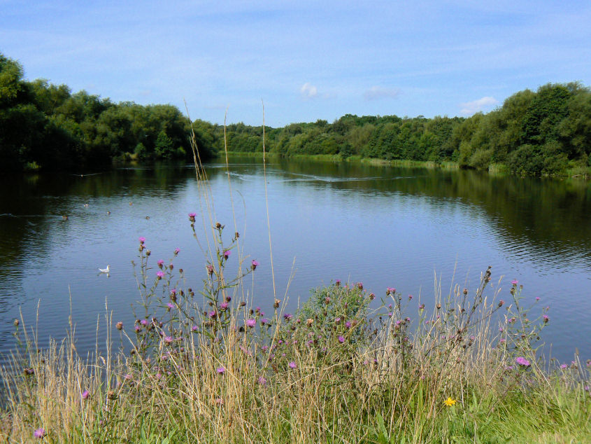 Codnor Park Reservoir Codnor Park Reservoir